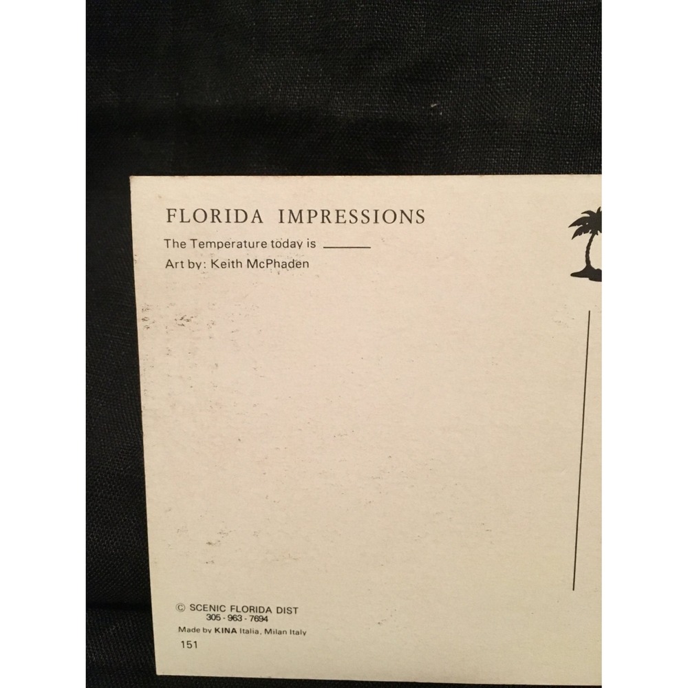 Vintage Florida pin up postcard, Humorous vintage postcard - Picture 5 of 5